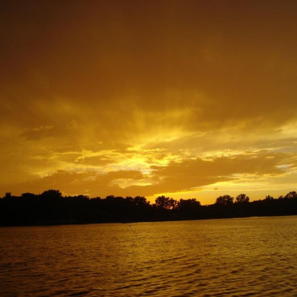 Meet your Posher, Ann - Picture 1 of 1